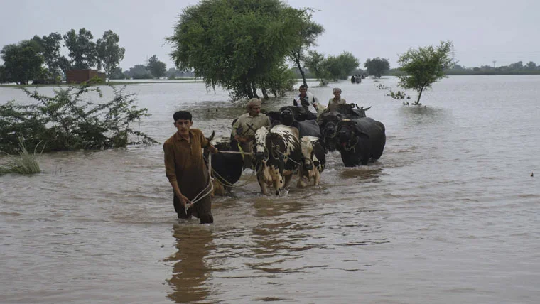 پنجاب میں سیلاب کا زور ٹوٹنے لگا، سندھ کے بیراجوں پر دباؤ، کچا ڈوب گیا
