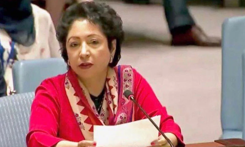 امریکا اگر اسرائیل پر دباؤ ڈالتا ہے تو ہی اسرائیل رک سکتا ہے: ملیحہ لودھی