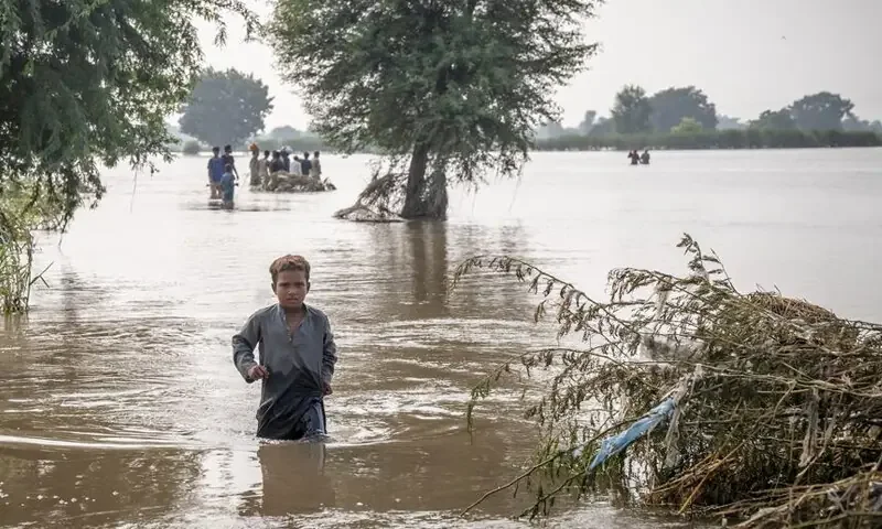 پاکستان کے سیلاب زدہ علاقوں میں’ شدید انسانی بحران’ ہے، عالمی برادری امداد فراہم کرے، اقوام متحدہ