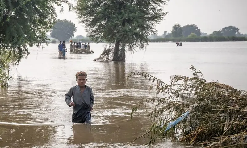پاکستان کے سیلاب زدہ علاقوں میں’ شدید انسانی بحران’ ہے، عالمی برادری امداد فراہم کرے، اقوام متحدہ