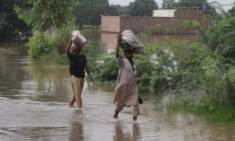 سینیٹ قائمہ کمیٹی کی سیلاب سے متاثرہ اضلاع کو آفت زدہ قرار دینے کی سفارش