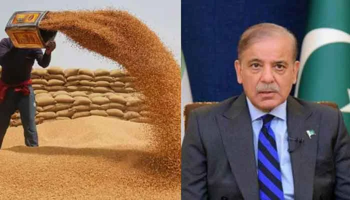 حکومت نے گندم کی قیمتوں پر قیاس آرائی کے خلاف کریک ڈاؤن کا حکم دے دیا