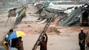 ملک بھر میں سیلاب سے 6 ہزار 2 سو لائیو اسٹاک،9ہزار166 گھروں کو نقصان پہنچا، رپورٹ