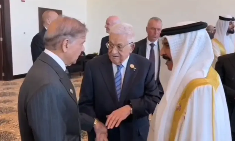 شہباز شریف شرم الشیخ ملاقاتیں اور فلسطین کے صدر سے تعلقات