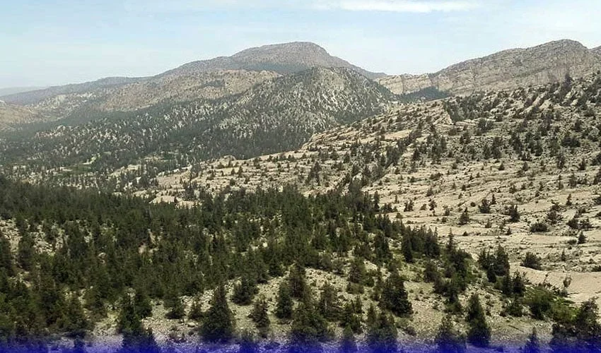 بلوچستان جنگلاتی اراضی واگزار مہم، 10 لاکھ ایکڑ زمین قبضہ مافیا سے چھڑالی گئی