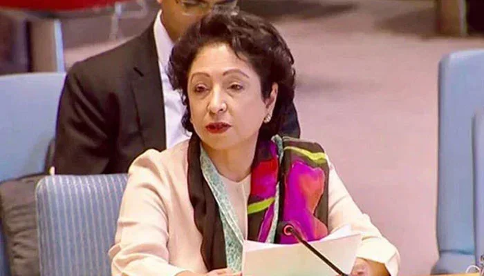 پاکستان افغانستان تناؤ کی وجہ ٹی ٹی پی، افغان حکومت عملی اقدام میں ناکام: ملیحہ لودھی