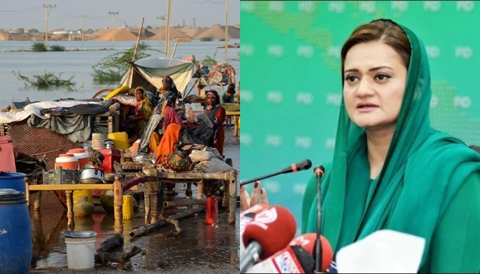 سیلاب بحالی پروگرام کے تحت امداد کی تقسیم، 6 ارب 39 کروڑ روپے متاثرین میں بانٹے گئے