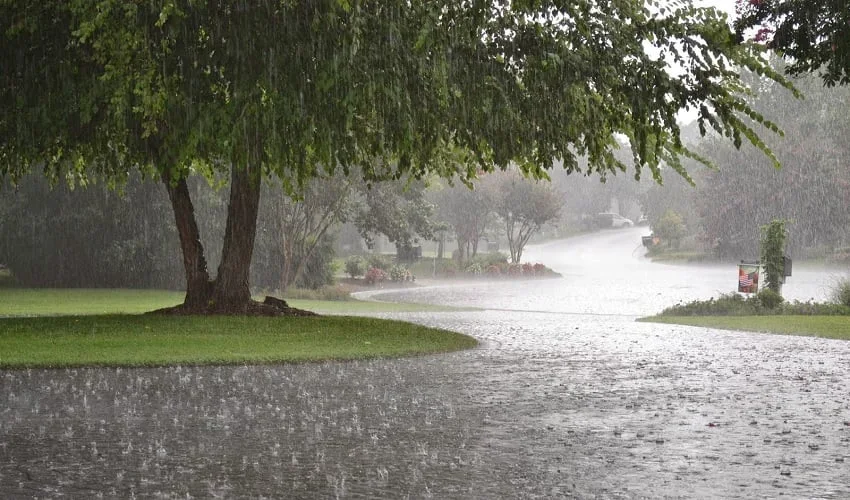 بالائی علاقوں میں  بارشوں کے باعث پانی کے بہاؤ میں اضافے کا خدشہ ہے، پی ڈی ایم اے
