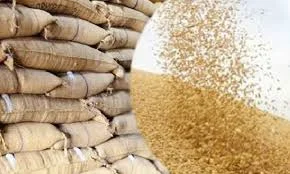 پنجاب حکومت کو گندم کی بین الصوبائی نقل و حمل پر پابندی کے فیصلے پر مخالفت کا سامنا