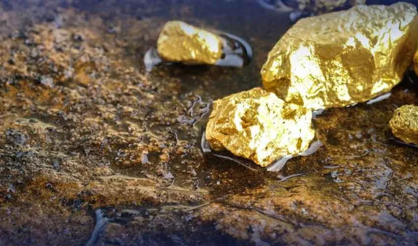 پنجاب حکومت کا پلیسر گولڈ ذخائر سے آمدن بنانے کا فیصلہ، نیسپاک کو ٹاسک سونپ دیا گیا