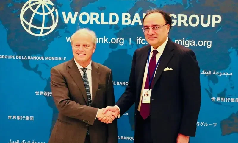 موسمیاتی بحران پاکستان کیلئے چیلنج: وزیر خزانہ کا عالمی فورمز پر انتباہ