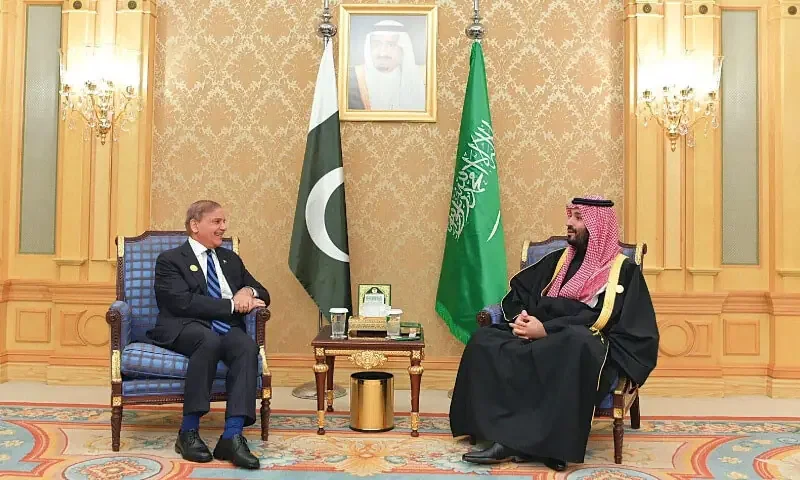 اقتصادی تعاون کا فریم ورک، وزیراعظم اور سعودی ولی عہد ملاقات کا مشترکہ اعلامیہ جاری