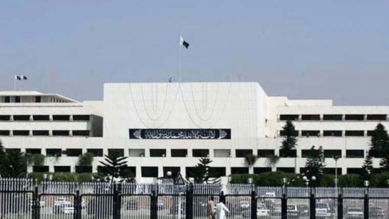 ڈومیسٹک وائلنس بل 2025: قومی اسمبلی میں بیوی بچوں کے تحفظ کا قانون منظور