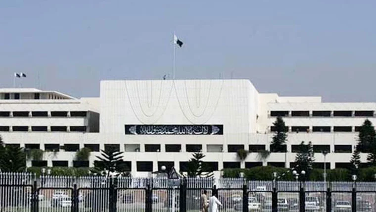 ڈومیسٹک وائلنس بل 2025: قومی اسمبلی میں بیوی بچوں کے تحفظ کا قانون منظور