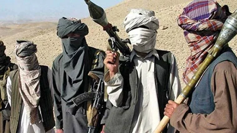 کالعدم ٹی ٹی پی نے افغان سرزمین استعمال کی، ڈنمارک کا اہم انکشاف