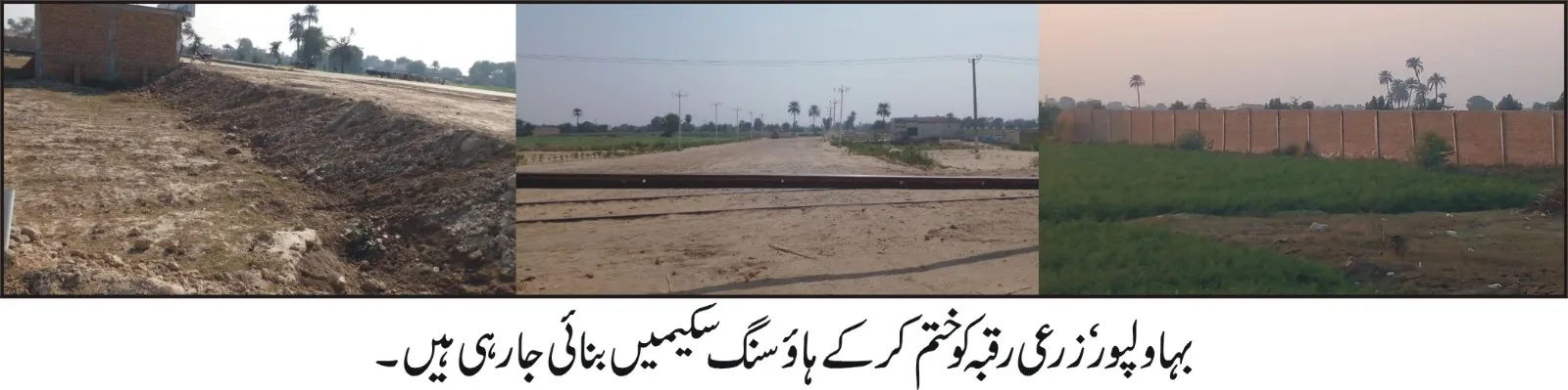 بہاولپور زرعی رقبہ تباہی: ہاؤسنگ سکیموں کے پھیلاؤ سے غذائی بحران کا خدشہ