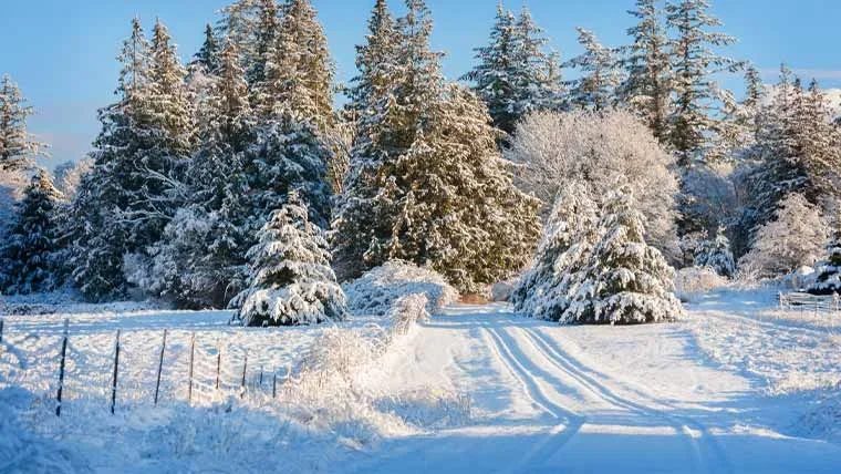 موسمِ سرما کا عرصہ کم ہونے کا انکشاف، ماہرین کی تشویشناک تحقیق