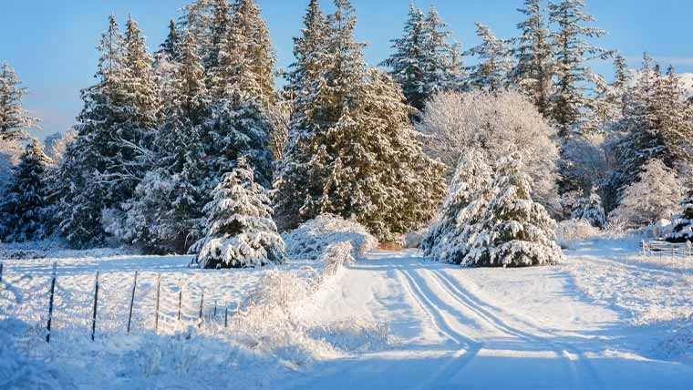 موسمِ سرما کا عرصہ کم ہونے کا انکشاف، ماہرین کی تشویشناک تحقیق