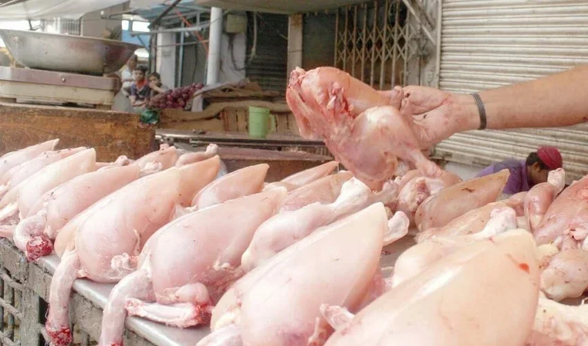 پولٹری ایسوسی ایشن پر کارٹیل بنانے کا الزام ثابت، جرمانہ عائد