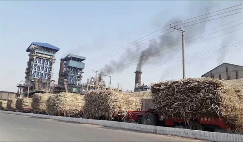 پنجاب میں شوگر انڈسٹری کی مجموعی نگرانی کے ڈیجیٹل سسٹم کی منظوری