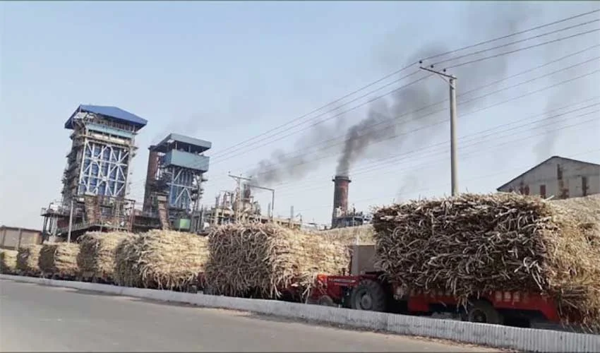 پنجاب میں شوگر انڈسٹری کی مجموعی نگرانی کے ڈیجیٹل سسٹم کی منظوری