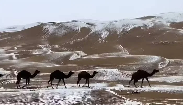 پاکستان صحرا میں برفباری، نوشکی کے صحرائی علاقے میں 20 سال بعد نادر منظر