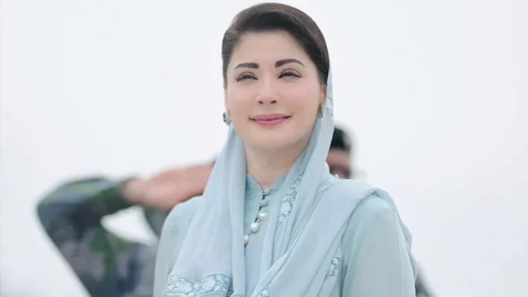 بسنت کو محفوظ بنائیں، وزیراعلیٰ پنجاب کی شہریوں سے ذمہ داری کی اپیل