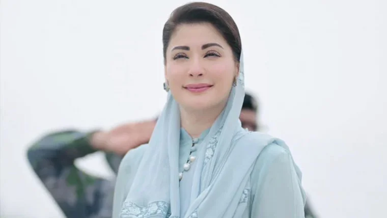 بسنت کو محفوظ بنائیں، وزیراعلیٰ پنجاب کی شہریوں سے ذمہ داری کی اپیل