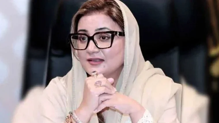 رمضان نگہبان پیکج پنجاب، 23 لاکھ کارڈز ڈیلیور، لاکھوں مستحقین مستفید