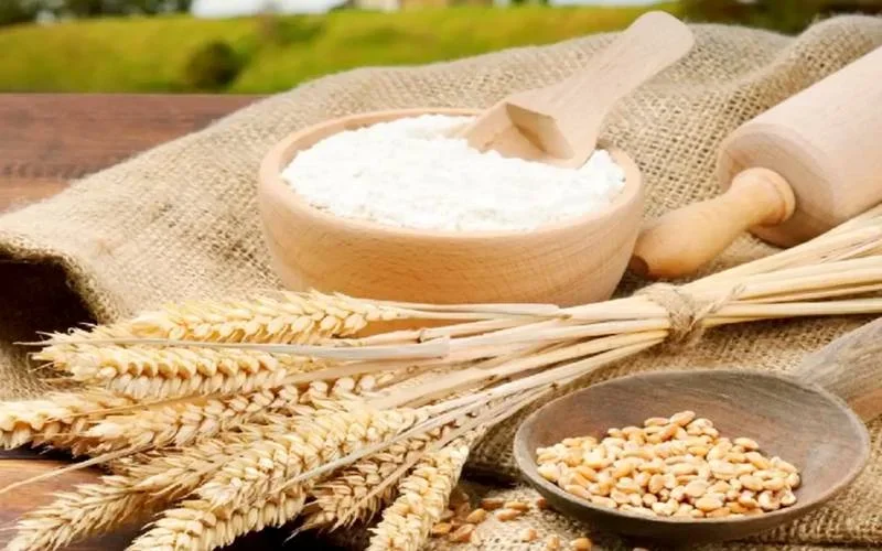 پاکستان کی گندم مصنوعات کی برآمد، آٹا، میدہ اور سوجی کا پہلے مرحلے میں روانہ