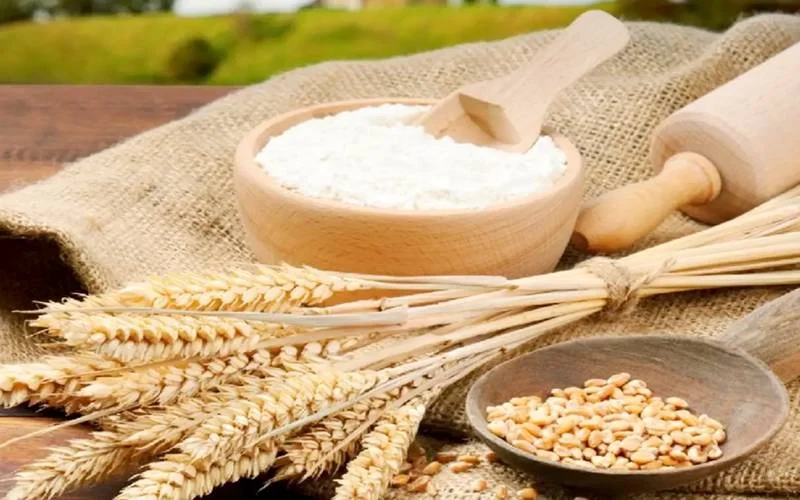 پاکستان کی گندم مصنوعات کی برآمد، آٹا، میدہ اور سوجی کا پہلے مرحلے میں روانہ